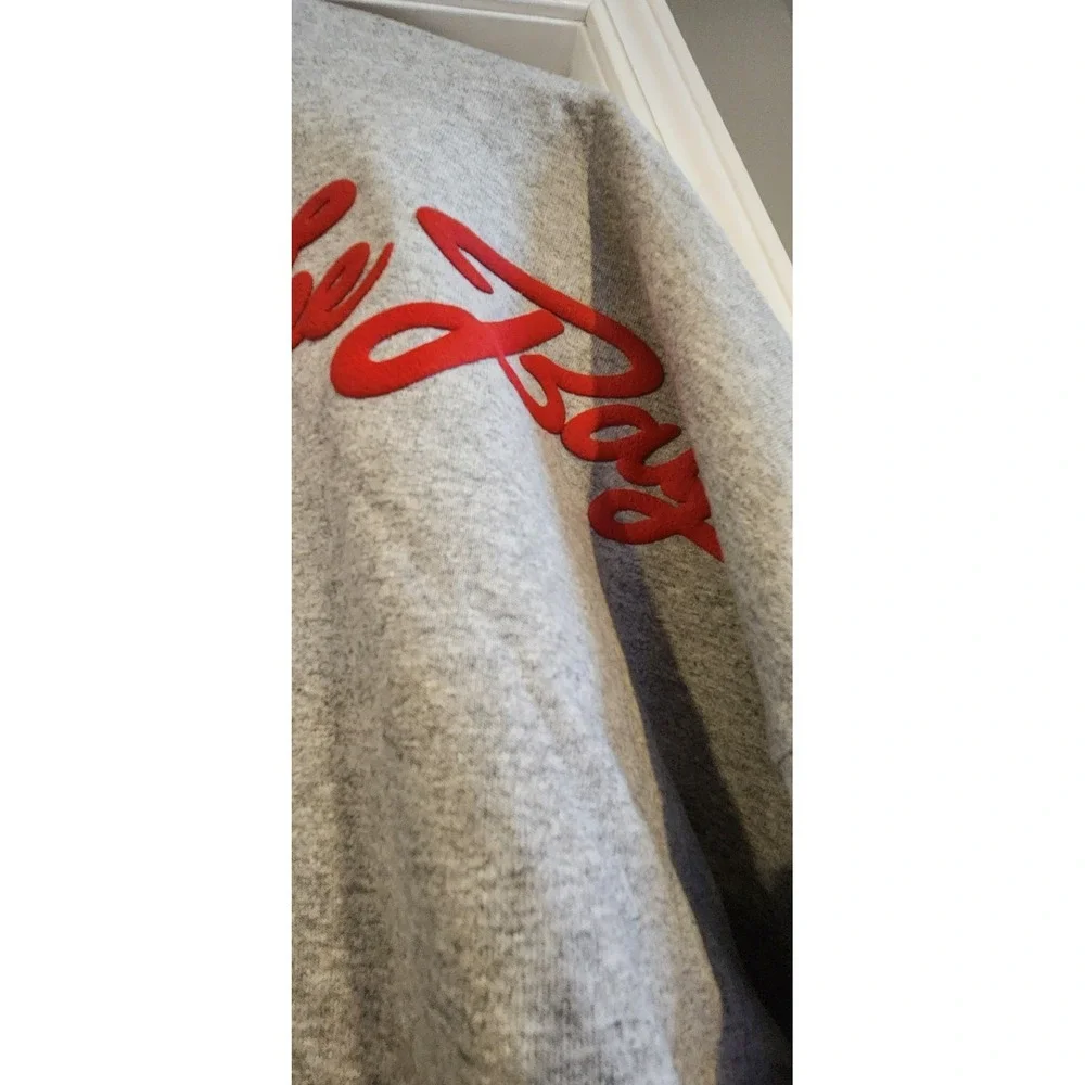 Men's NFL San Francisco 49ers Sweatshirt, Size Medium, Gray